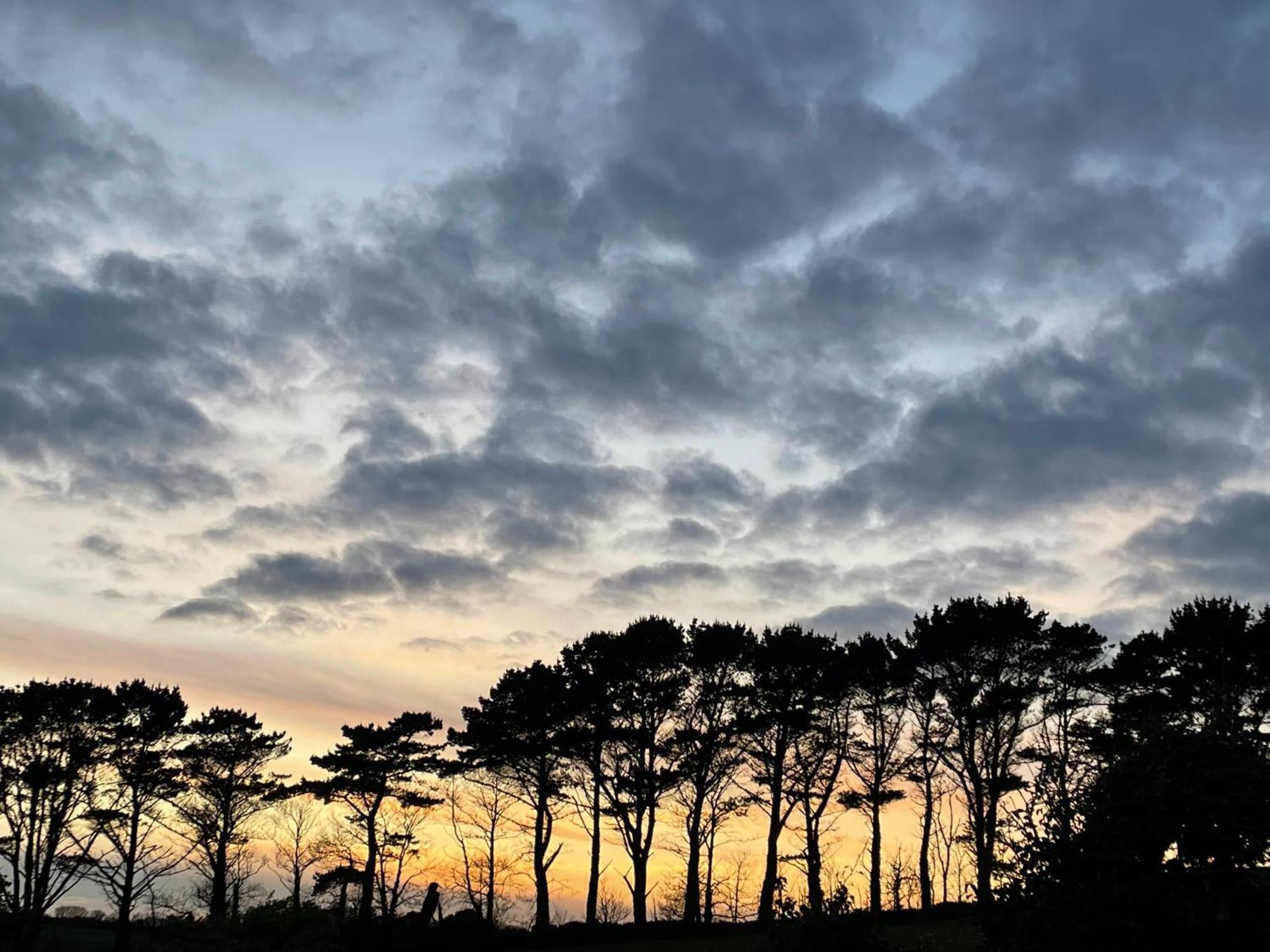 Fowey River Views Екстер'єр фото